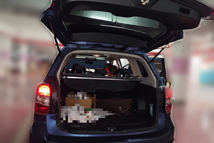 Used Subaru Forester 2015 2.0i Special Edition Commemorative Model Trunk