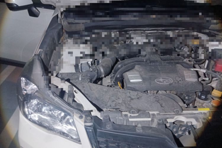 Used Subaru Forester 2015 2.0i Special Edition Commemorative Model Engine Bay Right