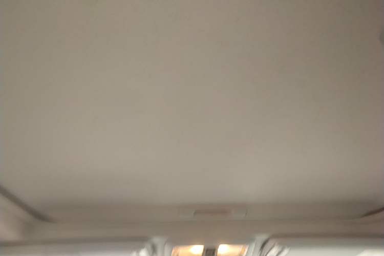 Used Subaru Forester 2015 2.0i Special Edition Commemorative Model Headliner