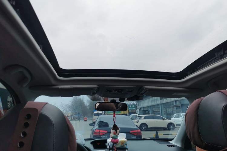 Used Subaru Forester 2015 2.0i Special Edition Commemorative Model Headliner