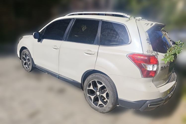 Used Subaru Forester 2015 2.0i Special Edition Commemorative Model Rear Left 45 Deg