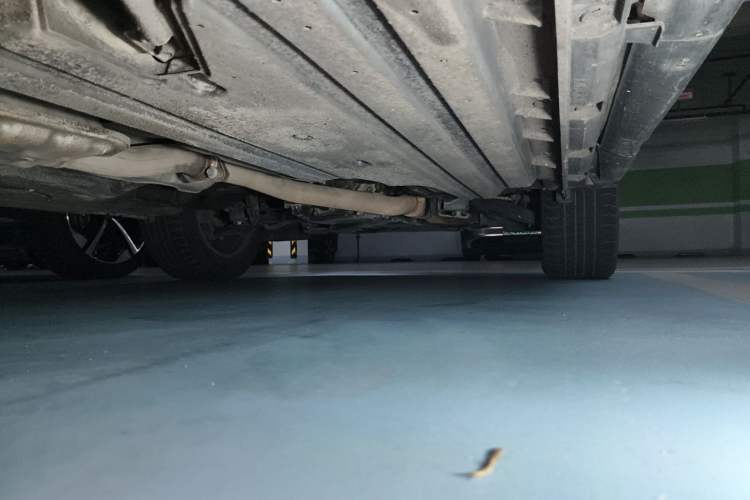 Used Subaru Forester 2016 2.0i Luxury Navigation Edition Chassis Rear Right