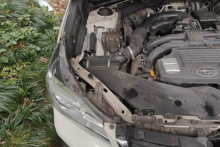 Used Subaru Forester 2016 2.0i Fashion Navigation Edition Engine Bay Right