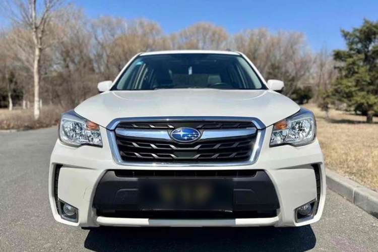 Used Subaru Forester 2016 2.0i Fashion Navigation Edition Exterior 4