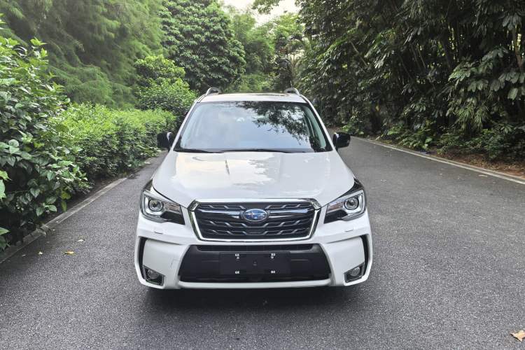 Used Subaru Forester 2018 2.0i Fashion Navigation Edition Exterior 1