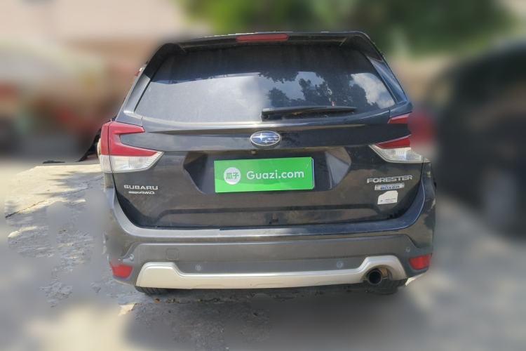 Used Subaru Forester 2019 2.0i e-Boxer Sport Edition EyeSight Rear