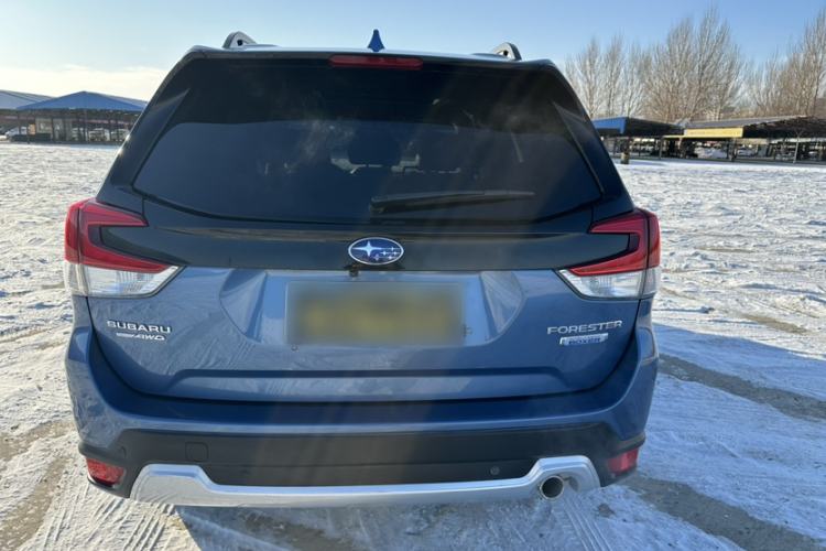 Used Subaru Forester 2019 2.0i Smart Engine Flagship Edition Exterior 12