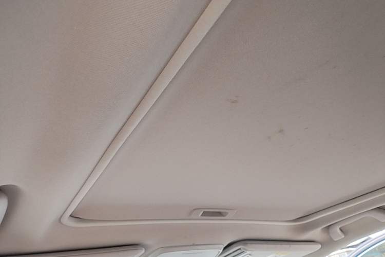 Used Subaru Forester 2019 2.0i e-Boxer Sport Edition EyeSight Headliner