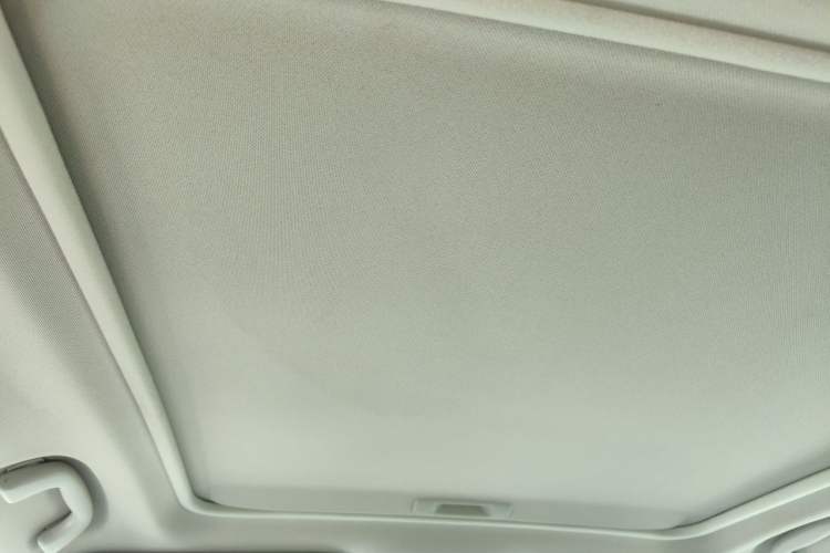 Used Subaru Forester 2019 2.0i Luxury Edition EyeSight Headliner