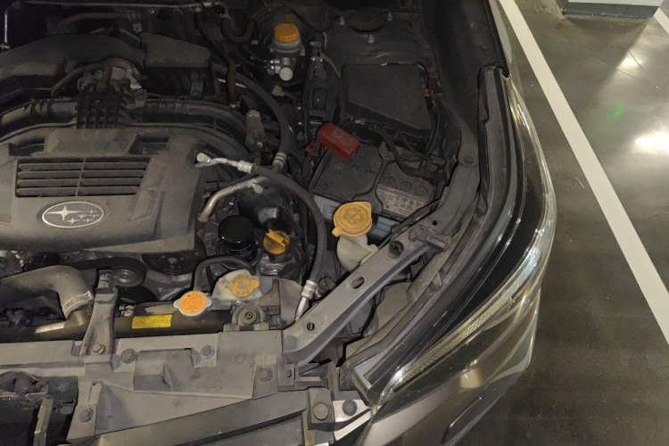 Used Subaru Forester 2019 2.0i Luxury Edition EyeSight Engine Bay Left