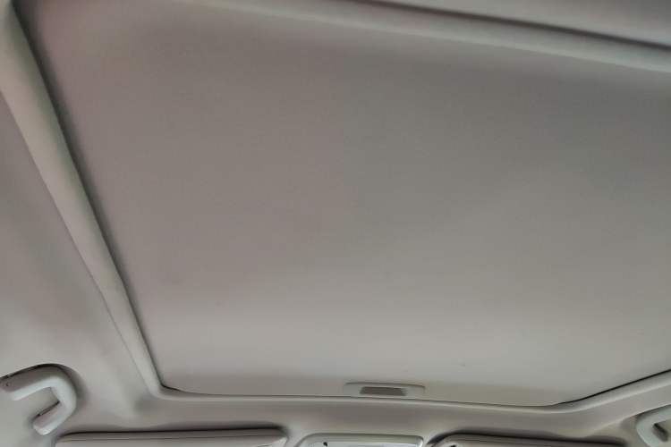Used Subaru Forester 2019 2.0i Luxury Edition EyeSight Headliner