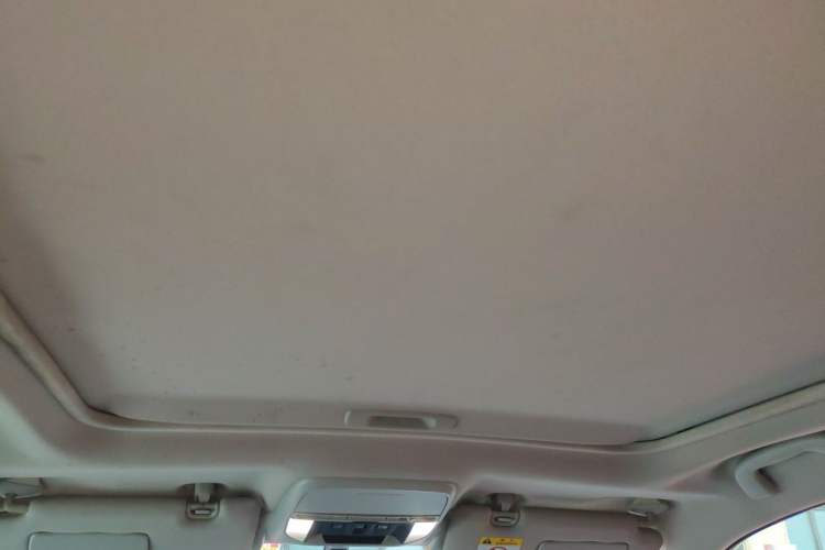 Used Subaru Forester 2019 2.0i Luxury Edition EyeSight Headliner