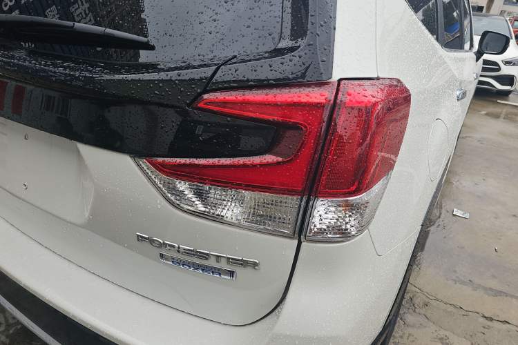 Used Subaru Forester 2019 2.0i Smart Engine Sport Edition Exterior 6