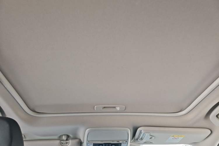 Used Subaru Forester 2019 2.0i Luxury Edition EyeSight Headliner