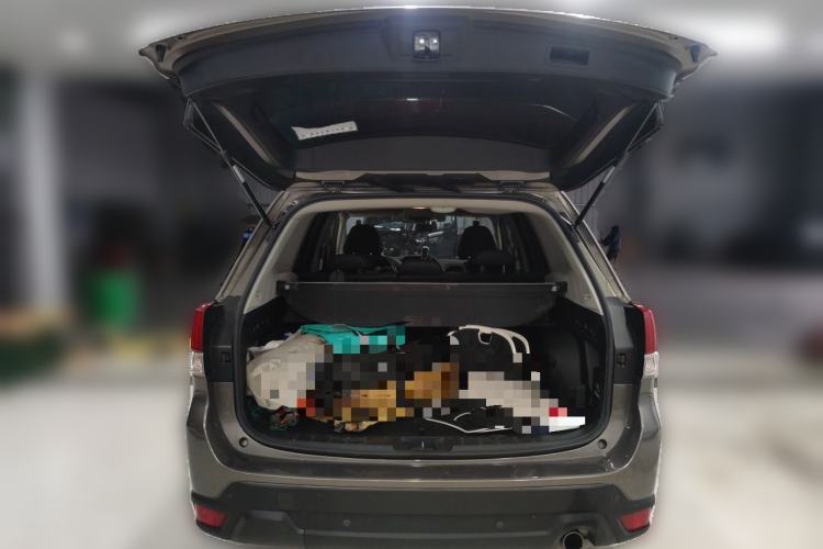 Used Subaru Forester 2020 2.0i Luxury Edition EyeSight Trunk