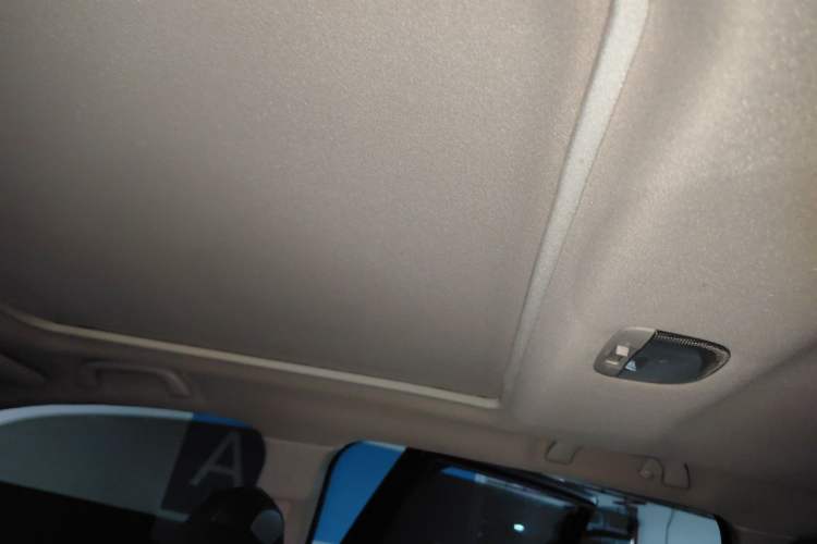 Used Subaru Forester 2021 2.0i Luxury Edition EyeSight Headliner