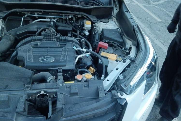 Used Subaru Forester 2022 2.0i AWD Luxury Edition Engine Bay Left