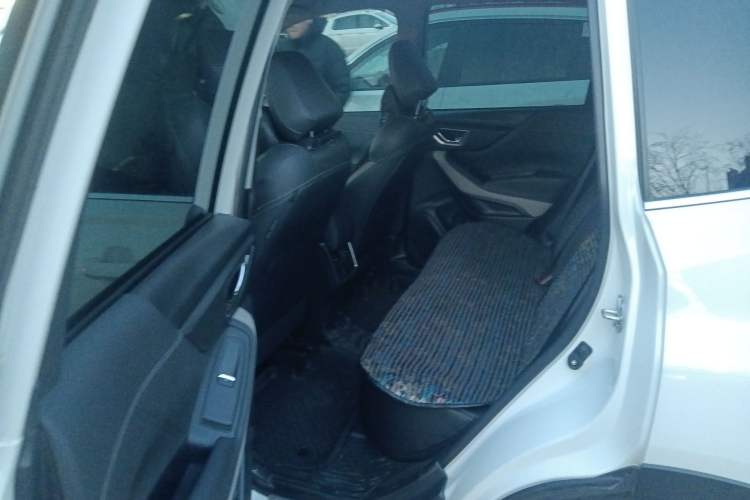 Used Subaru Forester 2022 2.0i AWD Luxury Edition Left Rear Seat