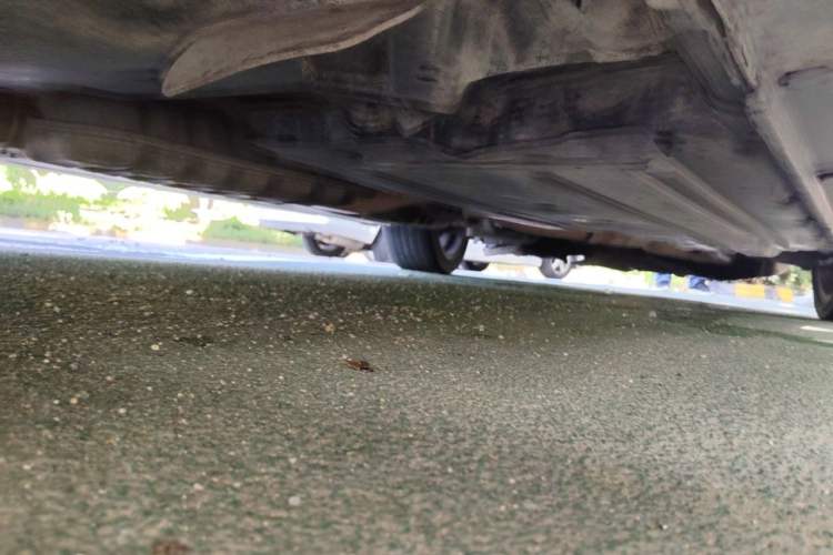 Used Subaru Legacy 2006 2.0R Chassis Rear Right