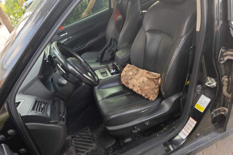 Used Subaru Outback 2012 2.5i Sport Edition Left Front Seat