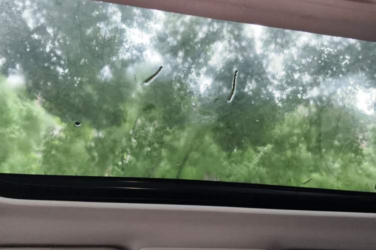 Used Subaru Outback 2019 2.5i Special Edition EyeSight Headliner