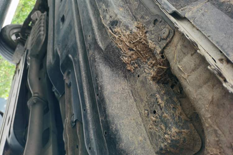 Used Subaru XV 2015 2.0i Elite Edition Chassis Front Right