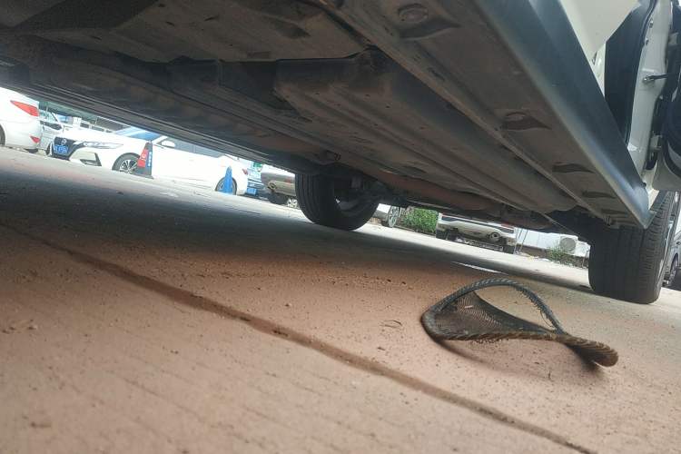 Used Subaru XV 2016 2.0i Ambition Edition Right Side Sill
