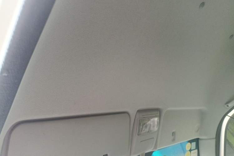Used Sunlong Dishangtie 510 2022 Pure Electric Van Headliner