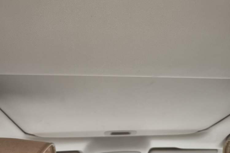 Used Suzuki Alivio 2015 1.6L Automatic Enjoyment Model Headliner