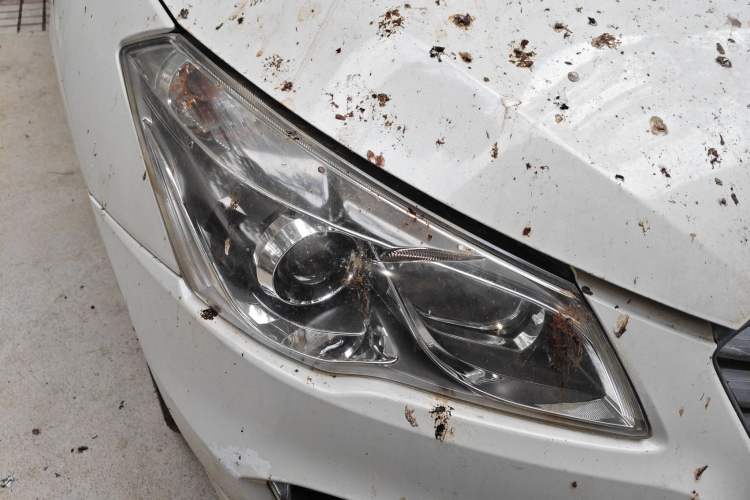 Used Suzuki Alivio 2015 1.6L Automatic Enjoyment Model Right Front Headlight