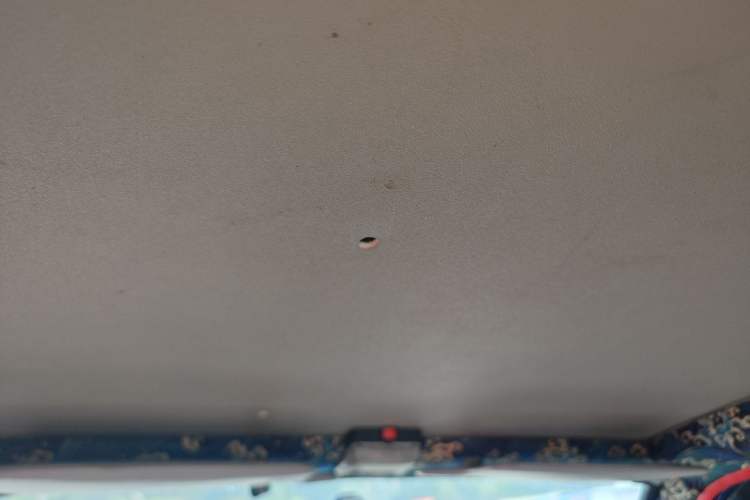 Used Suzuki Alto 2006 0.8L Happy Prince Headliner