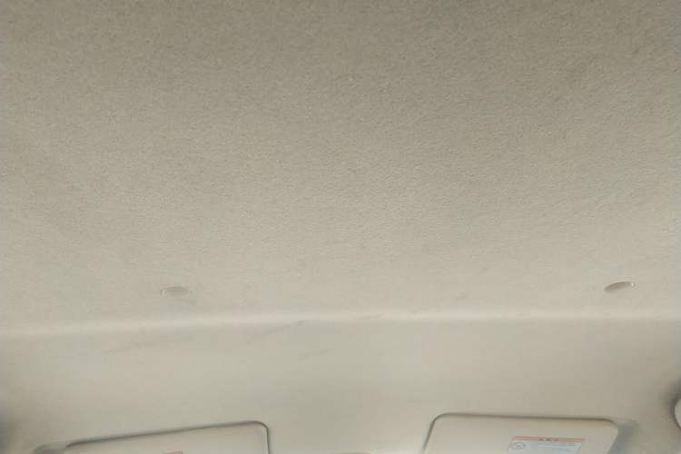 Used Suzuki Alto 2009 1.0L Manual Deluxe Edition Headliner