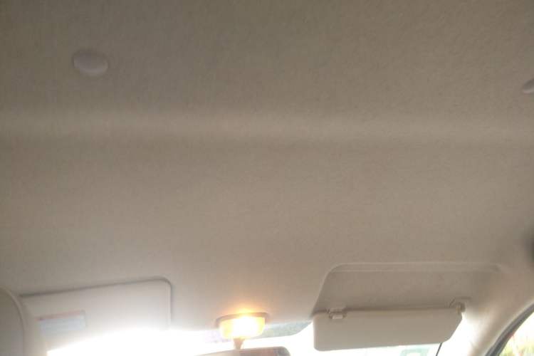 Used Suzuki Alto 2009 1.0L Automatic Luxury Version Headliner