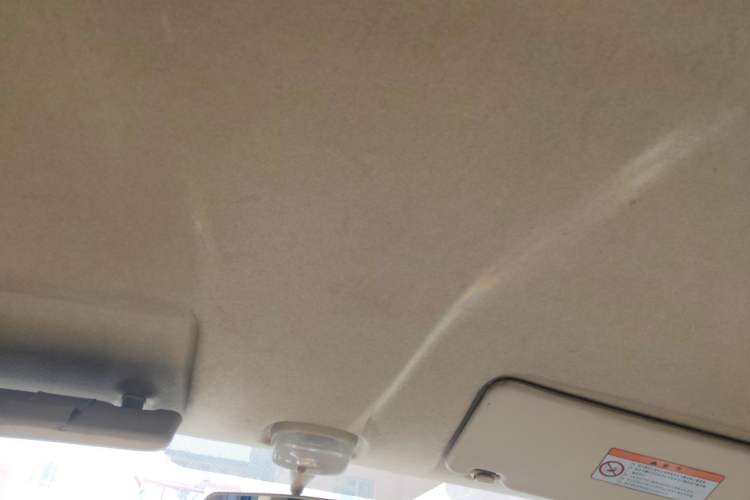 Used Suzuki Alto 2009 1.0L Automatic Luxury Version Headliner