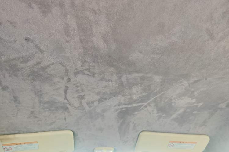 Used Suzuki Alto 2009 1.0L Manual Deluxe Edition Headliner