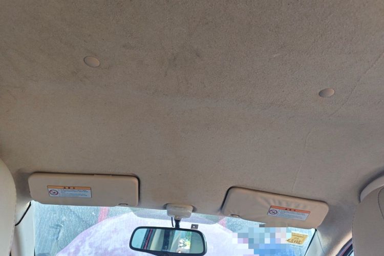 Used Suzuki Alto 2009 1.0L Automatic Luxury Version Headliner