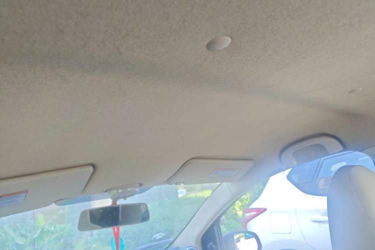Used Suzuki Alto 2009 1.0L Manual Comfort Edition Headliner