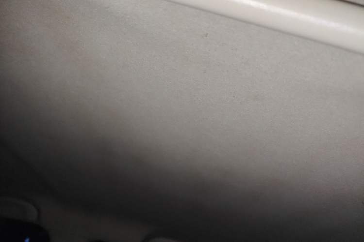 Used Suzuki Alto 2009 1.0L Manual Deluxe Edition Headliner