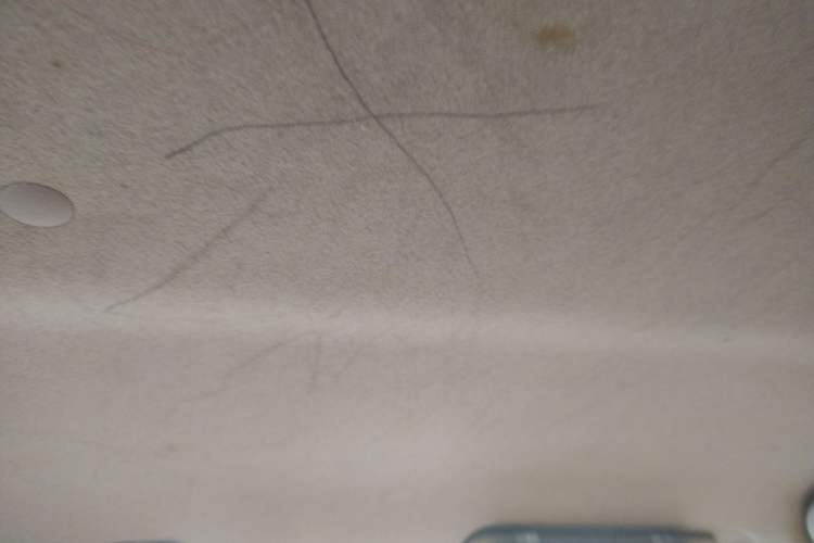 Used Suzuki Alto 2009 1.0L Automatic Luxury Version Headliner