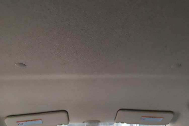 Used Suzuki Alto 2009 1.0L Manual Deluxe Edition Headliner