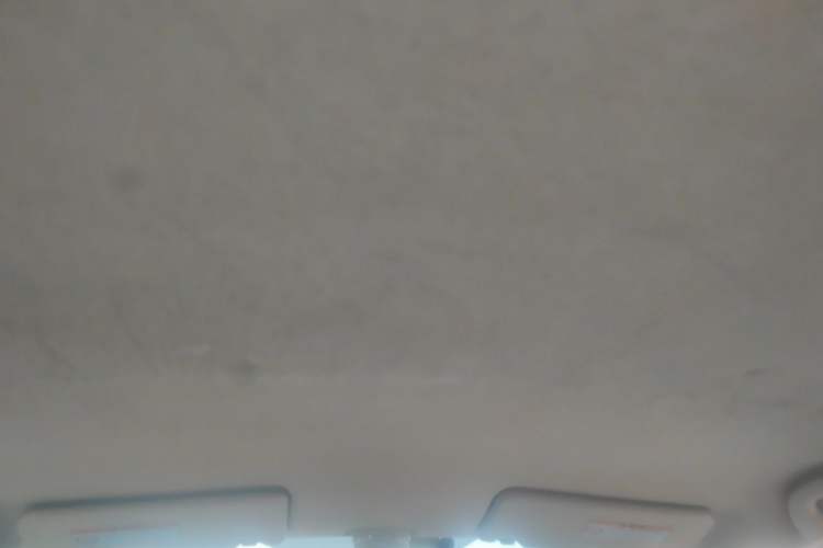 Used Suzuki Alto 2009 1.0L Automatic Luxury Version Headliner