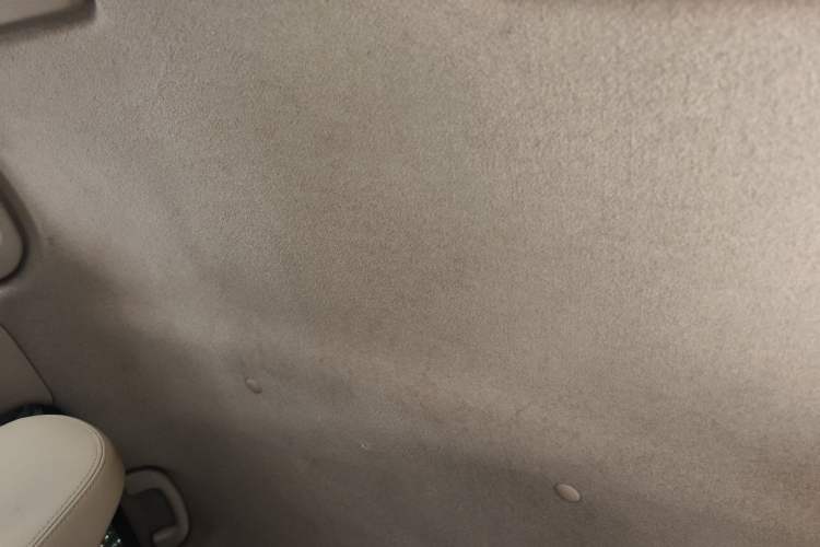 Used Suzuki Alto 2009 1.0L Automatic Luxury Version Headliner