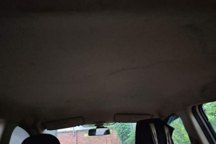 Used Suzuki Alto 2010 1.0L Manual Cool Edition Headliner
