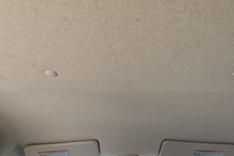Used Suzuki Alto 2010 1.0L Automatic Cool Edition Headliner