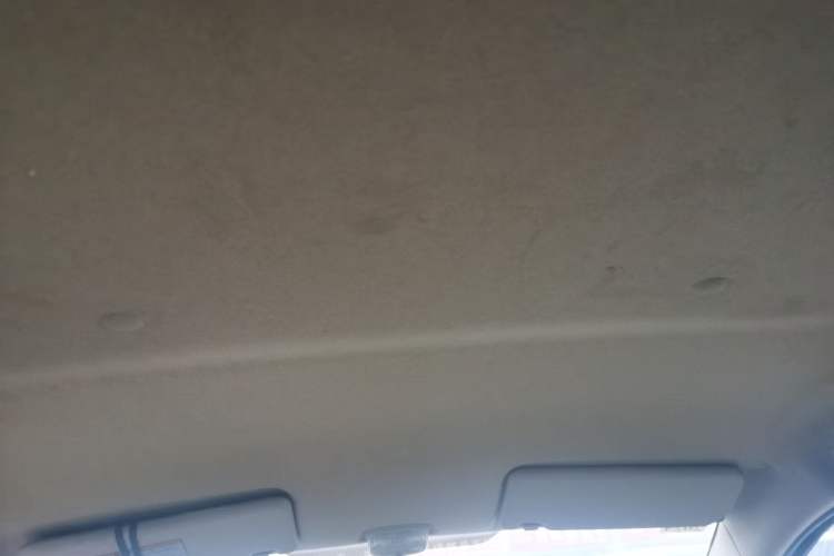 Used Suzuki Alto 2012 1.0L Manual Utility Version Headliner