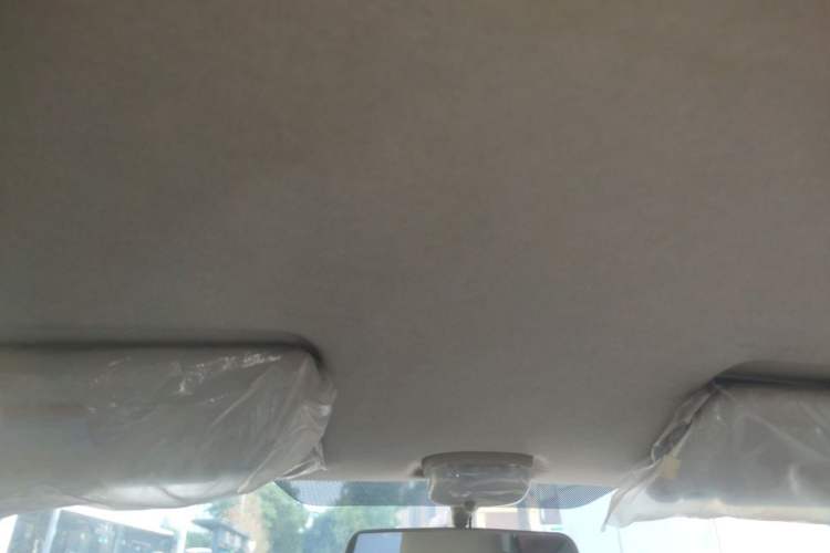 Used Suzuki Alto 2012 1.0L Manual Utility Version Headliner