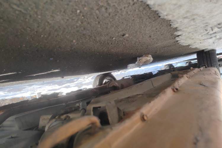 Used Suzuki Alto 2012 1.0L Manual Utility Version Chassis Rear Left