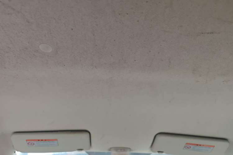 Used Suzuki Alto 2013 1.0L Automatic Luxury Model Headliner