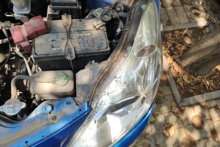 Used Suzuki Alto 2013 1.0L Automatic Luxury Model Engine Bay Left