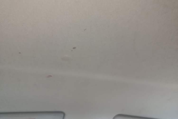 Used Suzuki Alto 2013 1.0L Automatic Luxury Model Headliner